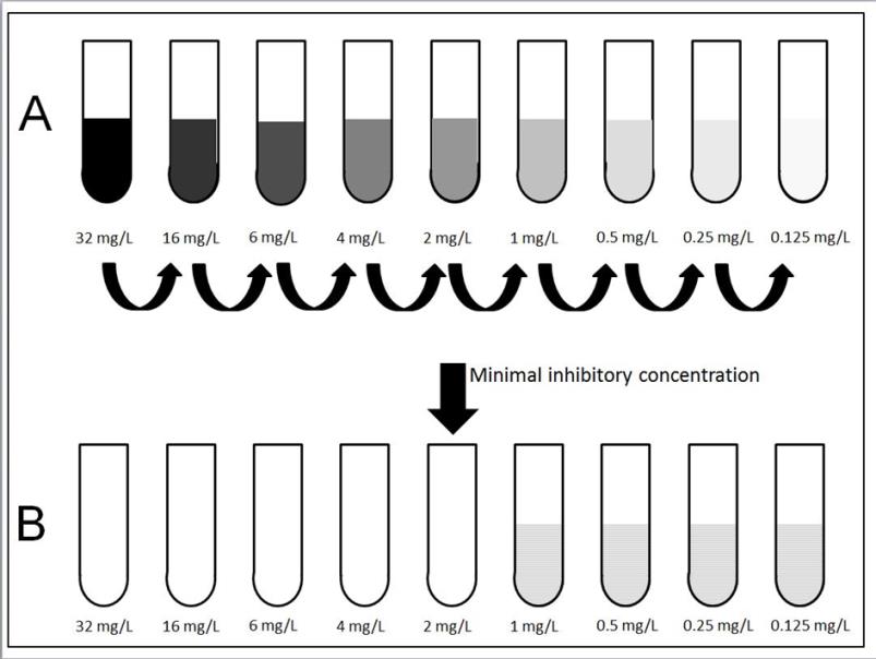 a) Mikrodiffusionsverfahren